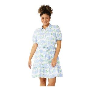 Draper James RSVP Floral PUFF Sleeve SHIRT DRESS Blue Ivory XL Linen Lined